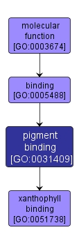 GO:0031409 - pigment binding (interactive image map)
