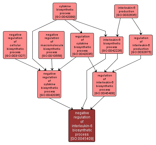 GO:0045409 - negative regulation of interleukin-6 biosynthetic process (interactive image map)