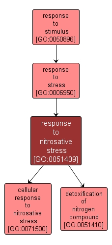 GO:0051409 - response to nitrosative stress (interactive image map)