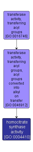 GO:0004410 - homocitrate synthase activity (interactive image map)