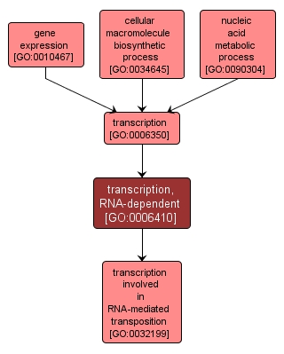 GO:0006410 - transcription, RNA-dependent (interactive image map)