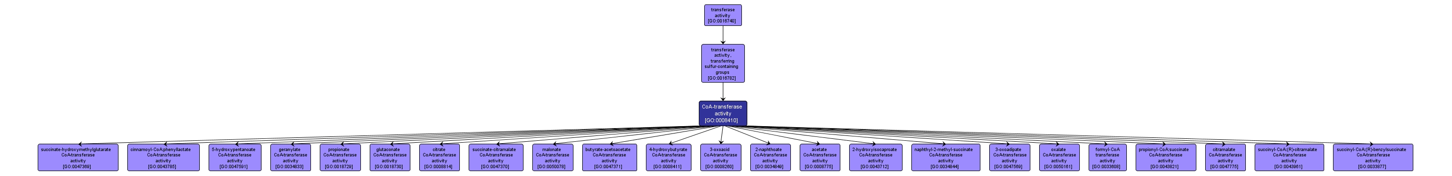 GO:0008410 - CoA-transferase activity (interactive image map)