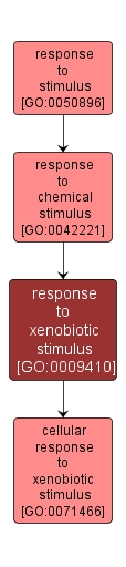 GO:0009410 - response to xenobiotic stimulus (interactive image map)