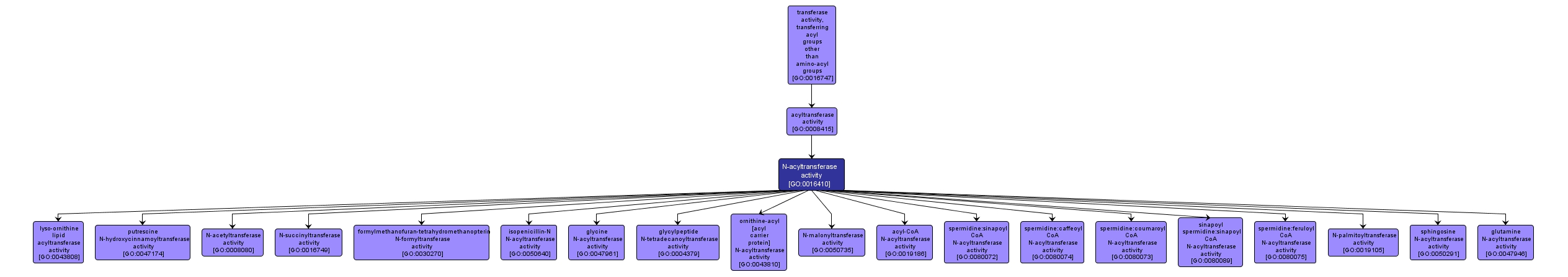 GO:0016410 - N-acyltransferase activity (interactive image map)