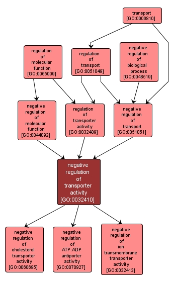 GO:0032410 - negative regulation of transporter activity (interactive image map)