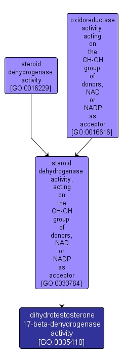 GO:0035410 - dihydrotestosterone 17-beta-dehydrogenase activity (interactive image map)