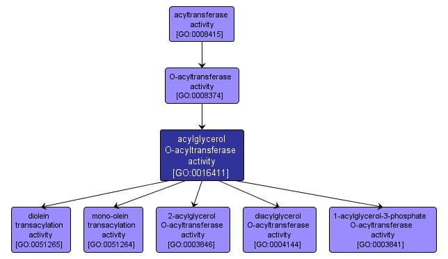 GO:0016411 - acylglycerol O-acyltransferase activity (interactive image map)