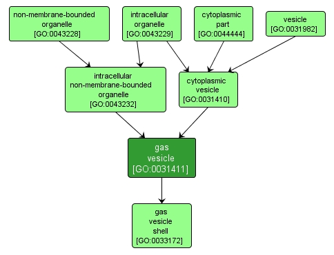 GO:0031411 - gas vesicle (interactive image map)