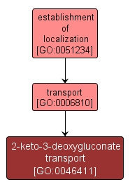 GO:0046411 - 2-keto-3-deoxygluconate transport (interactive image map)