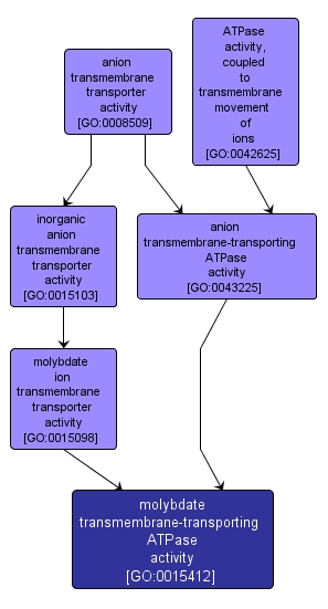 GO:0015412 - molybdate transmembrane-transporting ATPase activity (interactive image map)