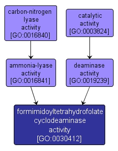 GO:0030412 - formimidoyltetrahydrofolate cyclodeaminase activity (interactive image map)
