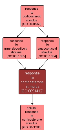 GO:0051412 - response to corticosterone stimulus (interactive image map)