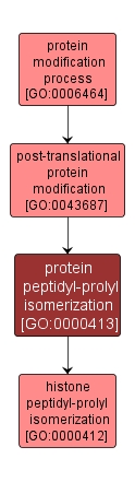 GO:0000413 - protein peptidyl-prolyl isomerization (interactive image map)