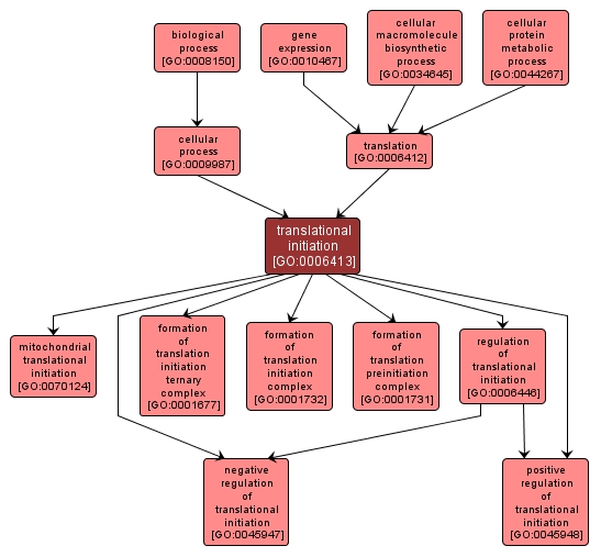 GO:0006413 - translational initiation (interactive image map)