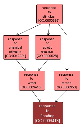 GO:0009413 - response to flooding (interactive image map)