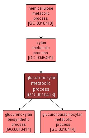 GO:0010413 - glucuronoxylan metabolic process (interactive image map)
