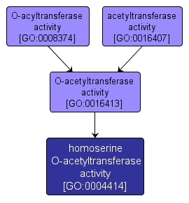GO:0004414 - homoserine O-acetyltransferase activity (interactive image map)