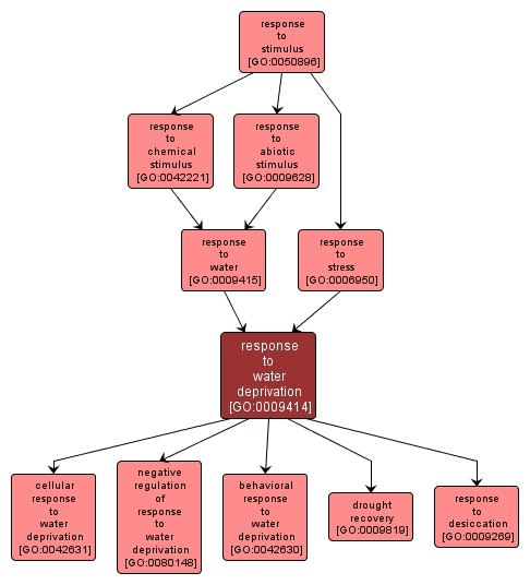 GO:0009414 - response to water deprivation (interactive image map)