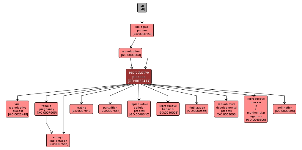 GO:0022414 - reproductive process (interactive image map)