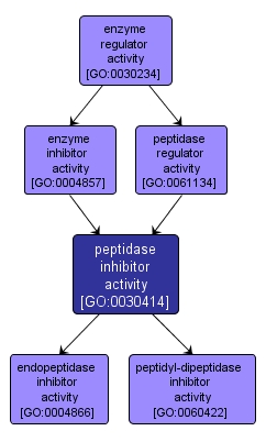 GO:0030414 - peptidase inhibitor activity (interactive image map)