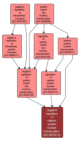 GO:0035414 - negative regulation of catenin protein nuclear translocation (interactive image map)