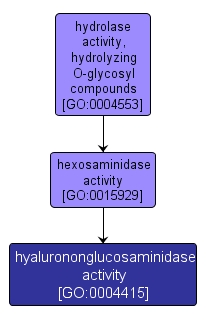 GO:0004415 - hyalurononglucosaminidase activity (interactive image map)
