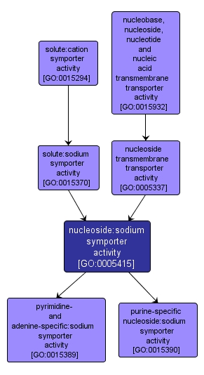 GO:0005415 - nucleoside:sodium symporter activity (interactive image map)