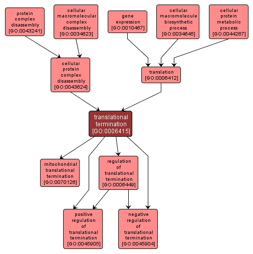 GO:0006415 - translational termination (interactive image map)