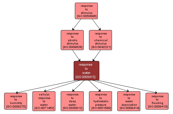 GO:0009415 - response to water (interactive image map)