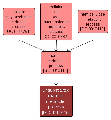 GO:0010415 - unsubstituted mannan metabolic process (interactive image map)