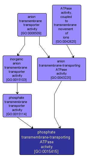 GO:0015415 - phosphate transmembrane-transporting ATPase activity (interactive image map)