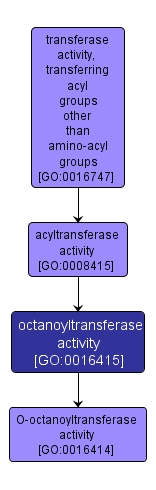 GO:0016415 - octanoyltransferase activity (interactive image map)