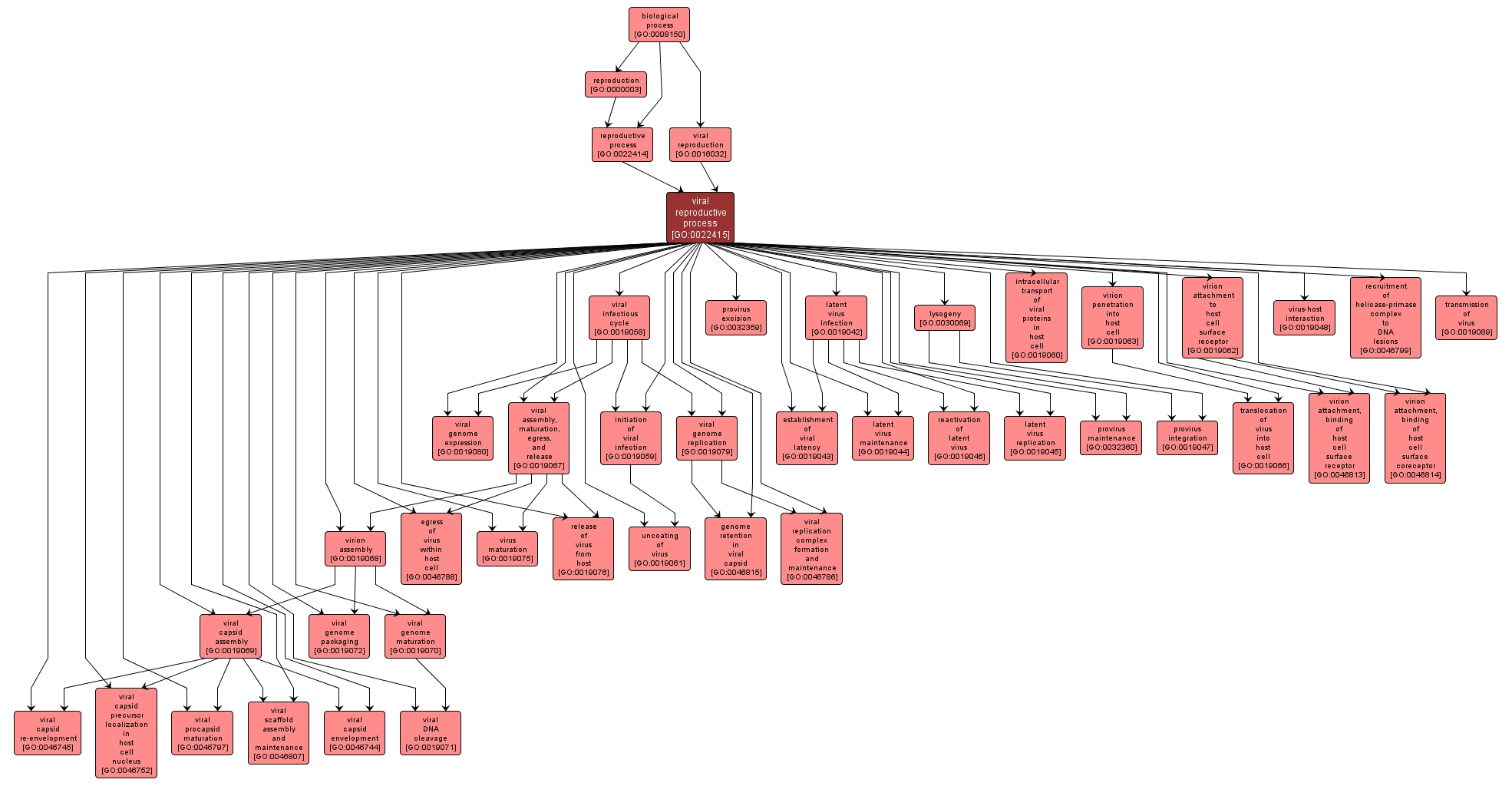 GO:0022415 - viral reproductive process (interactive image map)