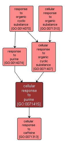 GO:0071415 - cellular response to purine (interactive image map)