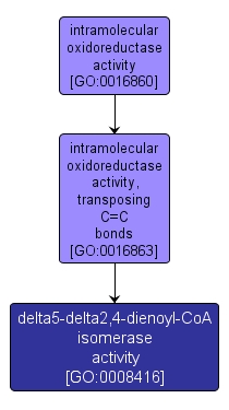 GO:0008416 - delta5-delta2,4-dienoyl-CoA isomerase activity (interactive image map)