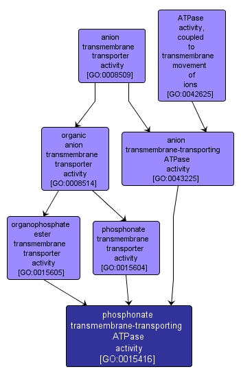 GO:0015416 - phosphonate transmembrane-transporting ATPase activity (interactive image map)