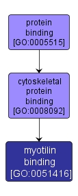 GO:0051416 - myotilin binding (interactive image map)