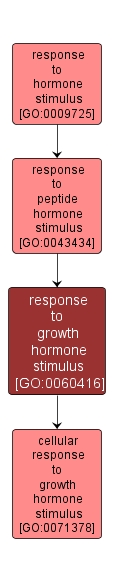 GO:0060416 - response to growth hormone stimulus (interactive image map)