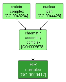 GO:0000417 - HIR complex (interactive image map)