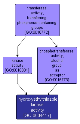 GO:0004417 - hydroxyethylthiazole kinase activity (interactive image map)