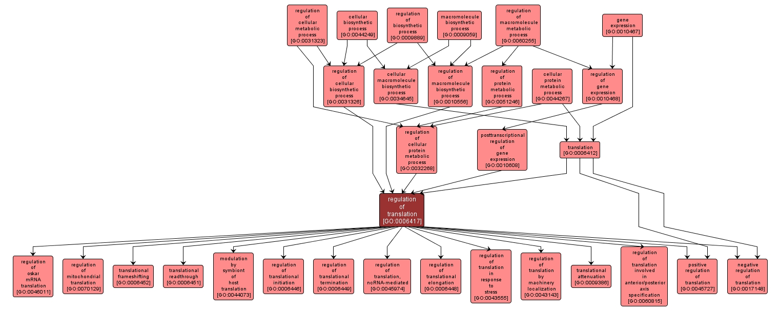 GO:0006417 - regulation of translation (interactive image map)