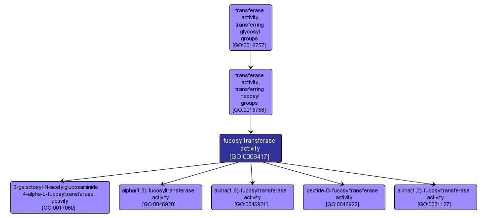 GO:0008417 - fucosyltransferase activity (interactive image map)