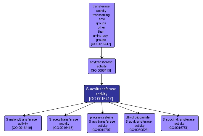 GO:0016417 - S-acyltransferase activity (interactive image map)