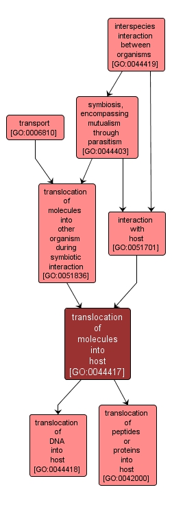 GO:0044417 - translocation of molecules into host (interactive image map)