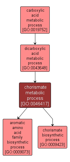 GO:0046417 - chorismate metabolic process (interactive image map)