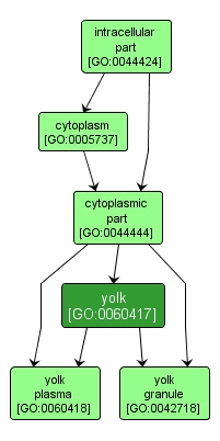 GO:0060417 - yolk (interactive image map)