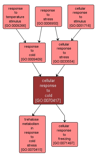 GO:0070417 - cellular response to cold (interactive image map)