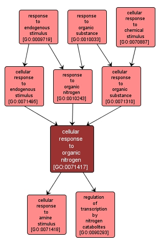 GO:0071417 - cellular response to organic nitrogen (interactive image map)