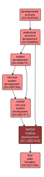 GO:0007418 - ventral midline development (interactive image map)
