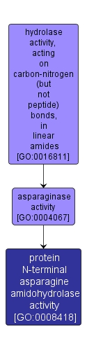 GO:0008418 - protein N-terminal asparagine amidohydrolase activity (interactive image map)